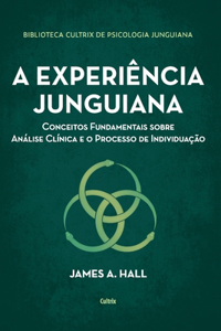 A experiência junguiana