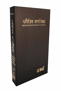 Holy Bible Punjabi (O.V. 2023) Semi Compact Containing Old and New Testament BSI