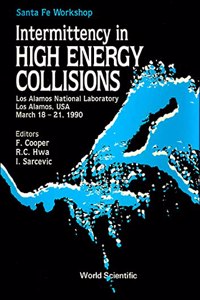 Intermittency in High Energy Collisions - Proceedings of the Santa Fe Workshop