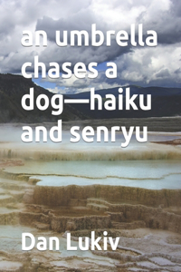 umbrella chases a dog-haiku and senryu