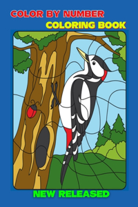 Color By Number Coloring Book