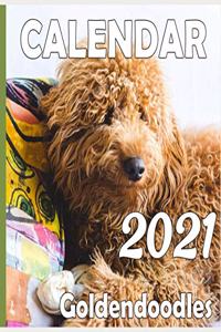 Goldendoodles