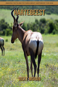 Hartebeest