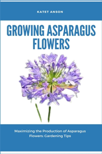 Growing Asparagus Flowers