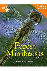 Fantastic Forest orange Level Non-Fiction: Forest Minibeasts Teaching Version