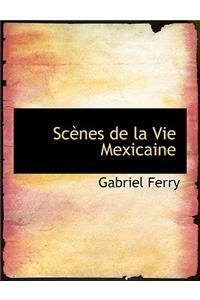 Scaunes de la Vie Mexicaine
