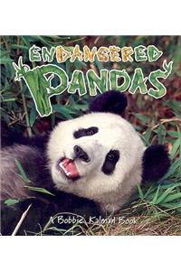 Endangered Pandas