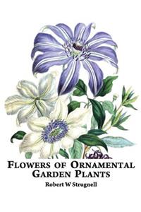 Flowers of Ornamental Garden Plants