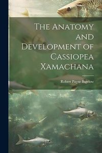Anatomy and Development of Cassiopea Xamachana