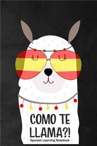 Como Te LLAMA?! Spanish Learning Notebook