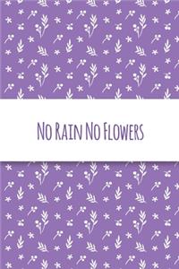 No Rain No Flowers