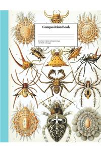 Wide-Ruled Spiders Arthropods Design
