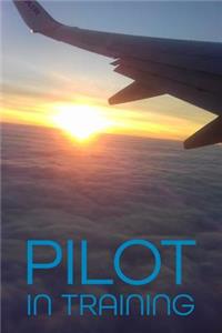 Pilot in Training