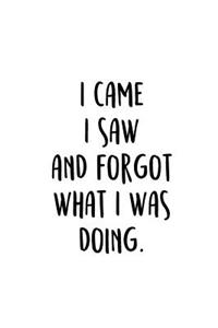 I Came I Saw And Forgot What I Was Doing.