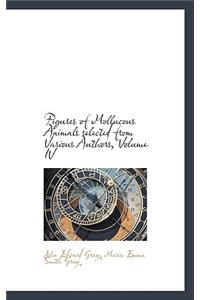 Figures of Mollucous Animals Selected from Various Authors, Volume IV