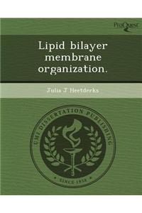 Lipid Bilayer Membrane Organization