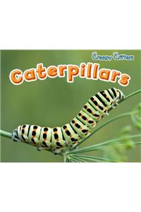 Caterpillars