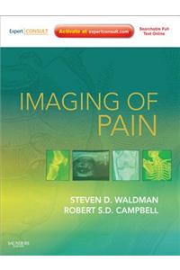 Imaging of Pain E-Book