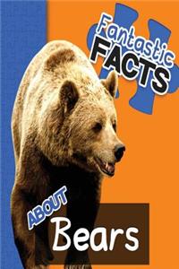 Fantastic Facts about Bears