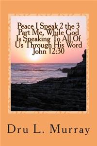 Peace I Speak 2 The 3 Part Me, While God Is Speaking 2 All Of Us, Through His Word, John 12