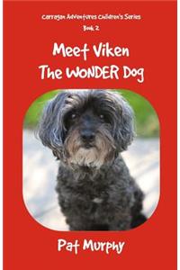 Meet Viken-The Wonder Dog