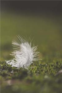 The Feather Journal