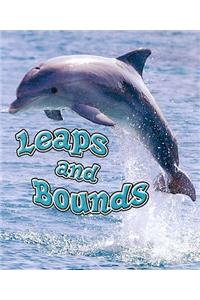 Leaps and Bounds