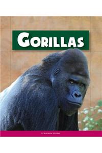 Gorillas