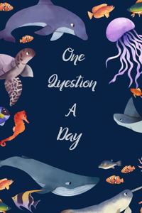 One Question a Day