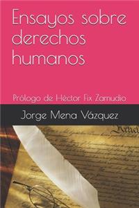 Ensayos sobre derechos humanos