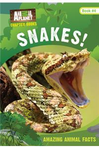 Snakes! (Animal Planet Chapter Books #4)
