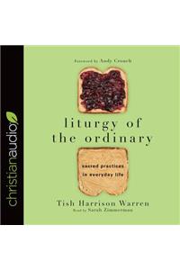 Liturgy of the Ordinary: Sacred Practices in Everyday Life