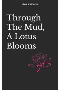 Through The Mud, A Lotus Blooms