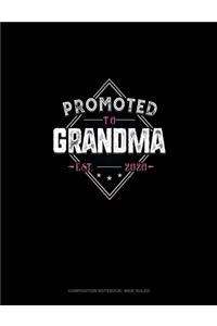 Promoted To Grandma Est. 2020