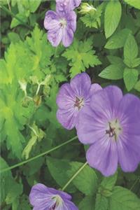 2020 Weekly Planner Summer Greens Flowers 134 Pages