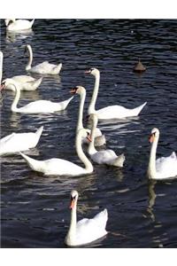 Swan Notebook Large Size 8.5 x 11 Ruled 150 Pages Softcover For Home School Offi