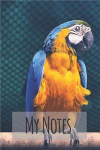My Notes