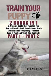 Train your Puppy