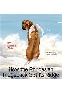 How The Rhodesian Ridgeback Got Its Ridge
