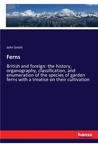Ferns