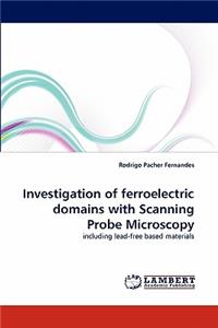 Investigation of Ferroelectric Domains with Scanning Probe Microscopy
