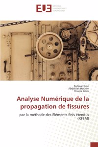 Analyse Numérique de la propagation de fissures