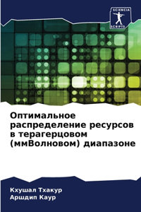 Оптимальное распределение ресурсов в тер