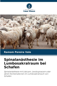 Spinalanästhesie im Lumbosakralraum bei Schafen