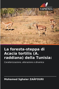 foresta-steppa di Acacia tortilis (A. raddiana) della Tunisia