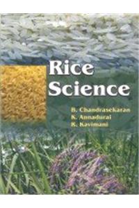 Rice Science