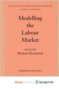 Modelling the Labour Market