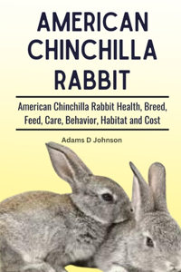 American Chinchilla Rabbit