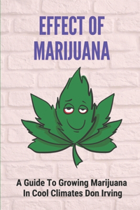 Effect Of Marijuana