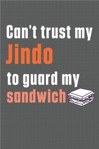 Can't trust my Jindo to guard my sandwich